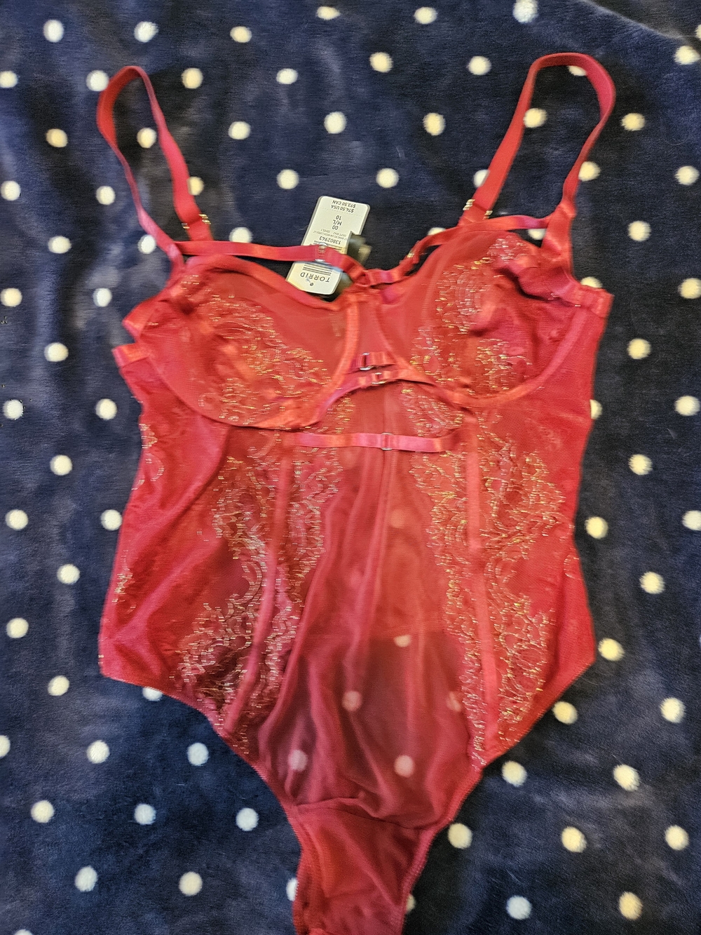 NWT Torrid Sheer Lace And Mesh Embroidered Bodysuit